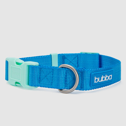 COLLAR PETS COLLECTION
