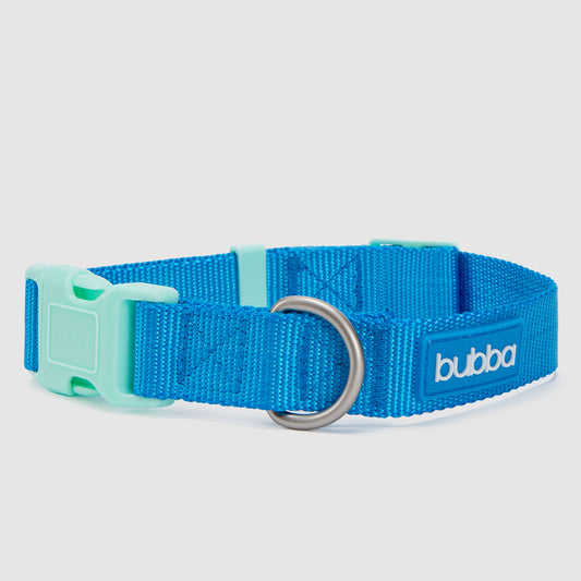 COLLAR PETS COLLECTION