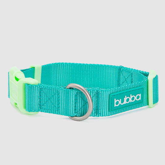 COLLAR PETS COLLECTION