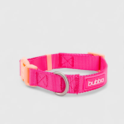 COLLAR PETS COLLECTION