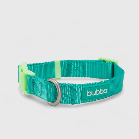 COLLAR PETS COLLECTION