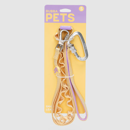 CORREA PETS COLLECTION