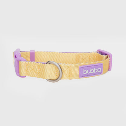 COLLAR PETS COLLECTION