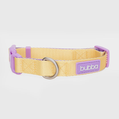 COLLAR PETS COLLECTION