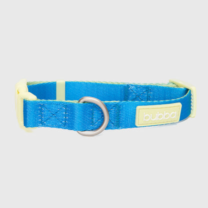 COLLAR PETS COLLECTION