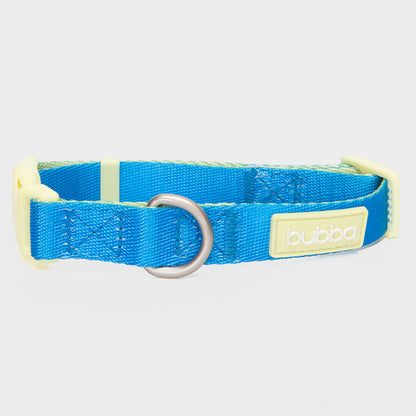 COLLAR PETS COLLECTION