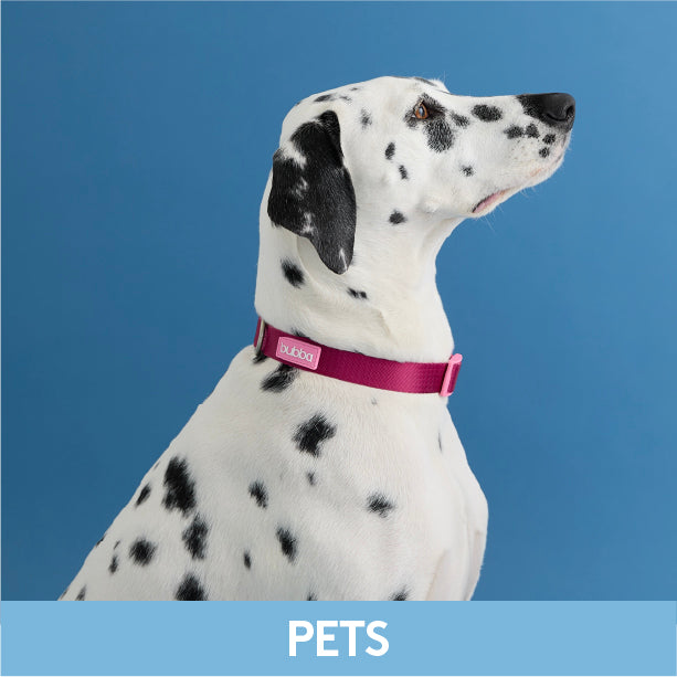 MUNDO PETS