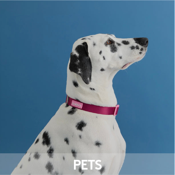 MUNDO PETS
